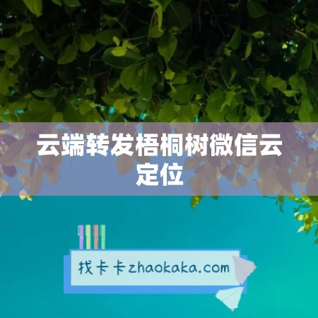 云端转发梧桐树微信云定位