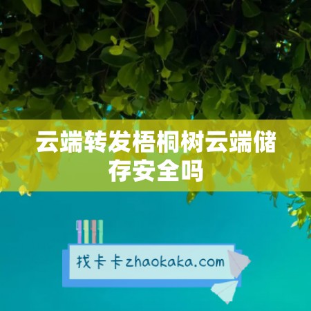 云端转发梧桐树云端储存安全吗