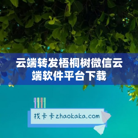 云端转发梧桐树微信云端软件平台下载