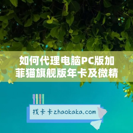 如何代理电脑PC版加菲猫旗舰版年卡及微精灵旗舰版年卡