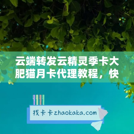 云端转发云精灵季卡大肥猫月卡代理教程，快速赚取收益