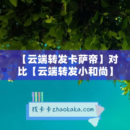 【云端转发卡萨帝】对比【云端转发小和尚】哪款更值得选择