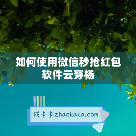 如何使用微信秒抢红包软件云穿杨