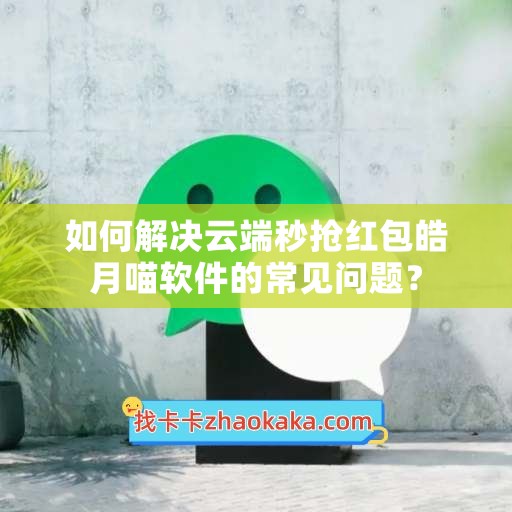 如何解决云端秒抢红包皓月喵软件的常见问题？