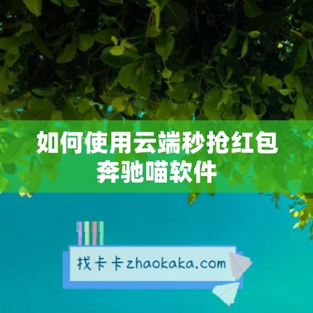 如何使用云端秒抢红包奔驰喵软件