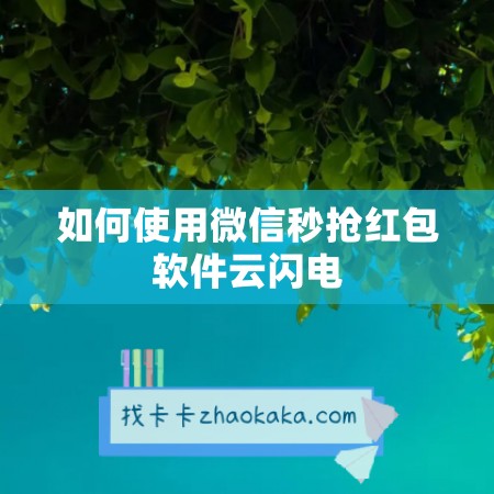 如何使用微信秒抢红包软件云闪电