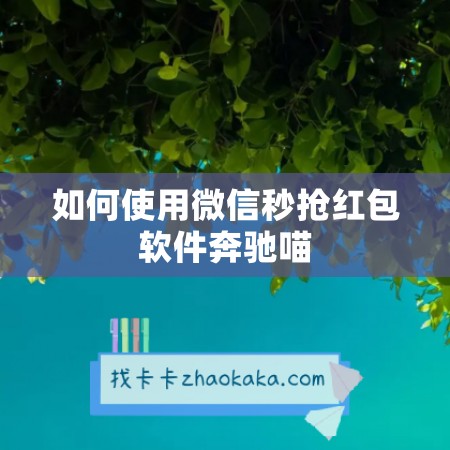 如何使用微信秒抢红包软件奔驰喵