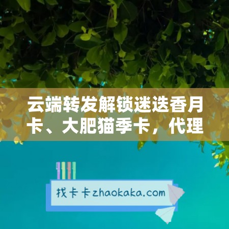 云端转发解锁迷迭香月卡、大肥猫季卡，代理云端传媒让你轻松拥有高端权益