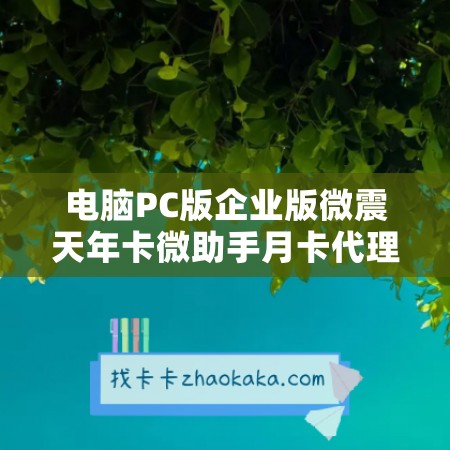 电脑PC版企业版微震天年卡微助手月卡代理低成本高收益，创业首选！