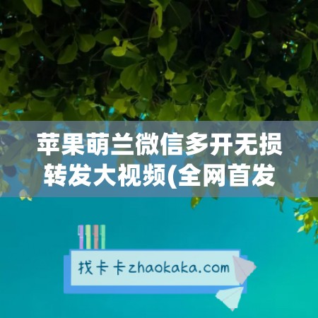 苹果萌兰微信多开无损转发大视频(全网首发)