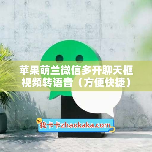 苹果萌兰微信多开聊天框视频转语音（方便快捷）