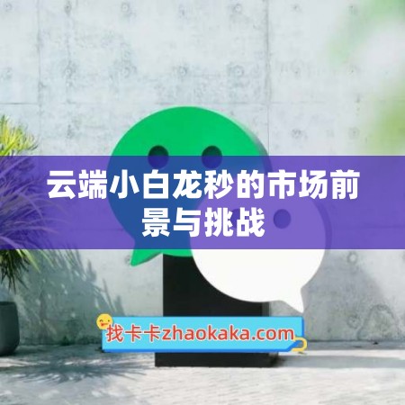 云端小白龙秒的市场前景与挑战