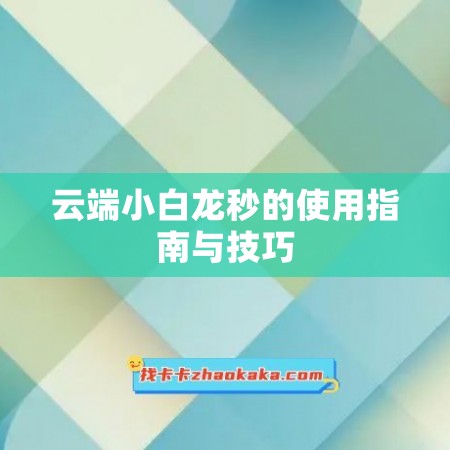 云端小白龙秒的使用指南与技巧