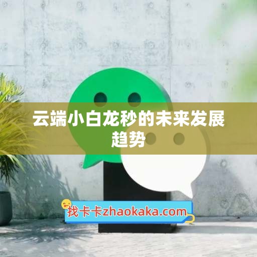 云端小白龙秒的未来发展趋势