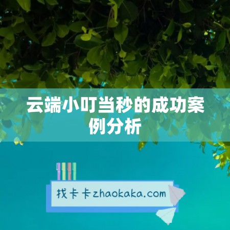 云端小叮当秒的成功案例分析