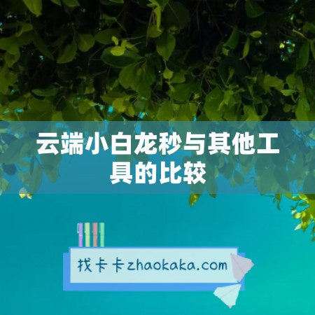 云端小白龙秒与其他工具的比较