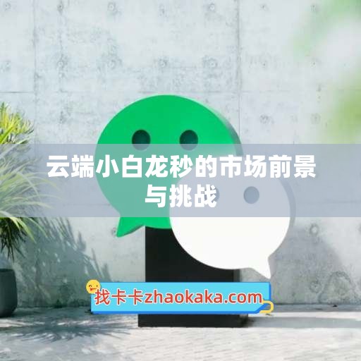 云端小白龙秒的市场前景与挑战