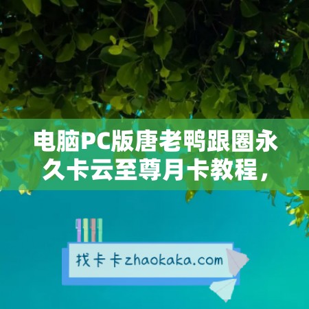 电脑PC版唐老鸭跟圈永久卡云至尊月卡教程，让你畅玩游戏无忧！