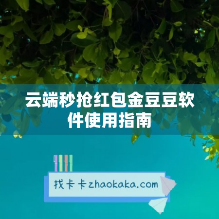 云端秒抢红包金豆豆软件使用指南