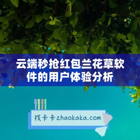 云端秒抢红包兰花草软件的用户体验分析