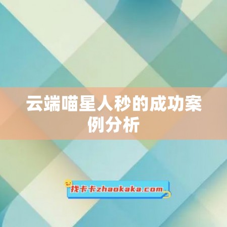 云端喵星人秒的成功案例分析