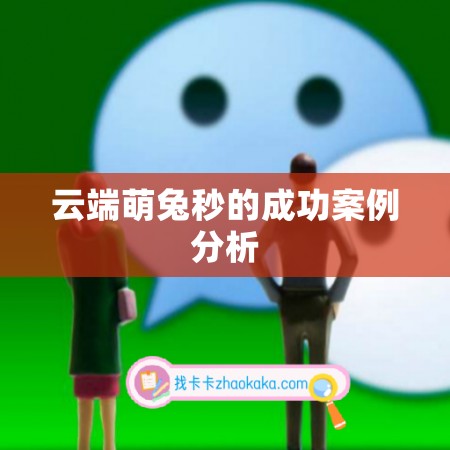 云端萌兔秒的成功案例分析