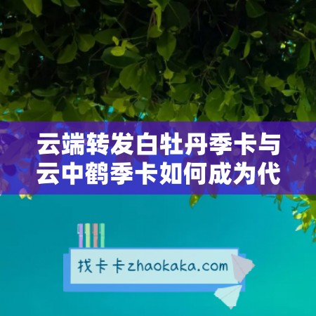 云端转发白牡丹季卡与云中鹤季卡如何成为代理商