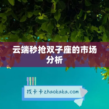 云端秒抢双子座的市场分析