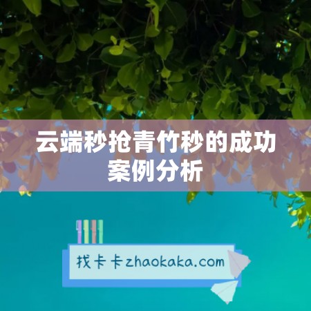 云端秒抢青竹秒的成功案例分析