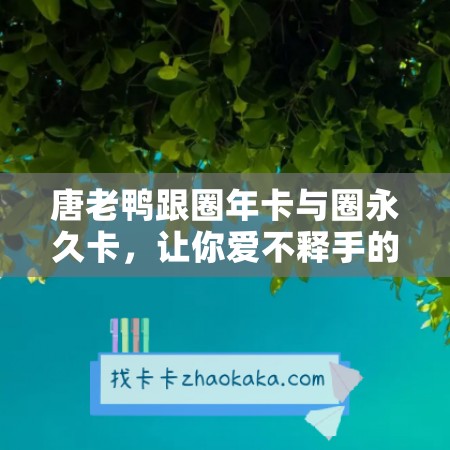 唐老鸭跟圈年卡与圈永久卡，让你爱不释手的游戏之旅