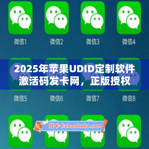 2025年苹果UDID定制软件激活码发卡网，正版授权更可靠！