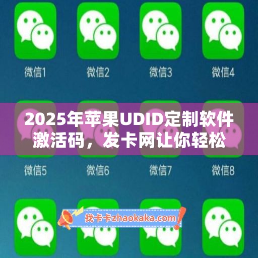 2025年苹果UDID定制软件激活码，发卡网让你轻松拥有高效工具！