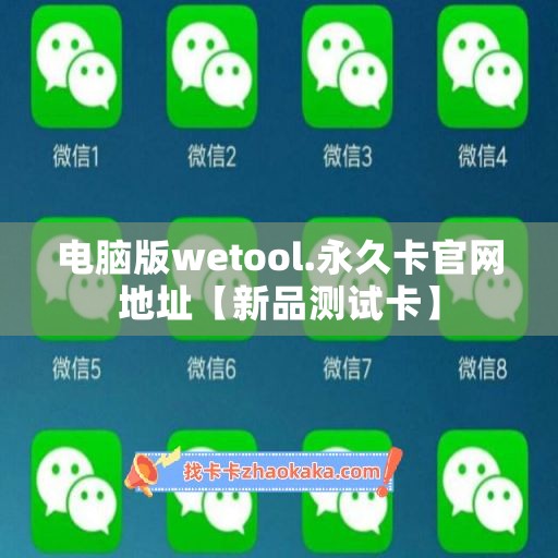 电脑版wetool.永久卡官网地址【新品测试卡】