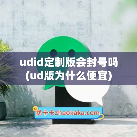 udid定制版会封号吗(ud版为什么便宜)