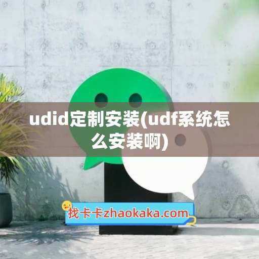 udid定制安装(udf系统怎么安装啊)