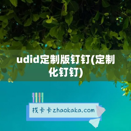 udid定制版钉钉(定制化钉钉)