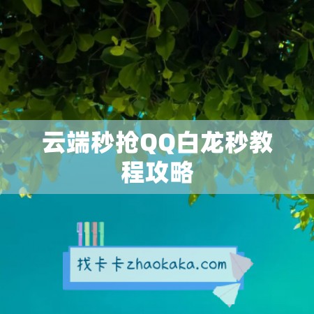 云端秒抢QQ白龙秒教程攻略