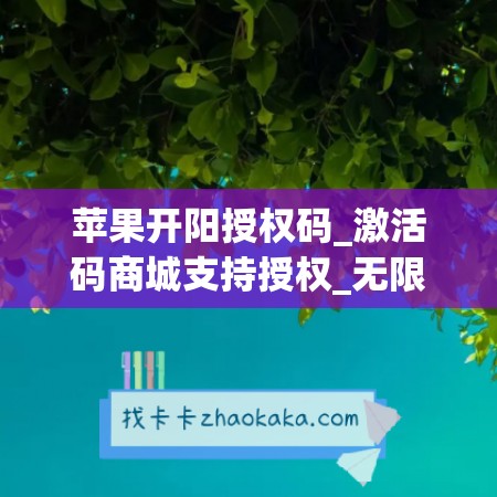 苹果开阳授权码_激活码商城支持授权_无限多开app定时发圈版本