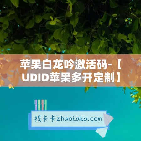 苹果白龙吟激活码-【UDID苹果多开定制】