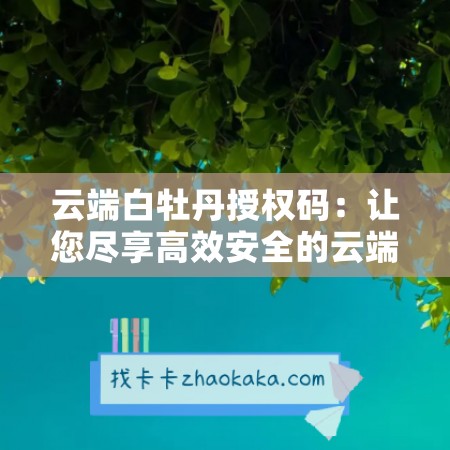 云端白牡丹授权码：让您尽享高效安全的云端服务