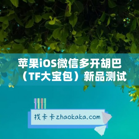 苹果iOS微信多开胡巴（TF大宝包）新品测试卡攻略