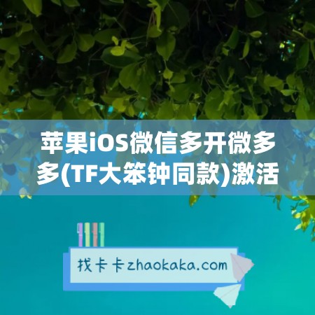 苹果iOS微信多开微多多(TF大笨钟同款)激活码：多重体验畅享无限可能！