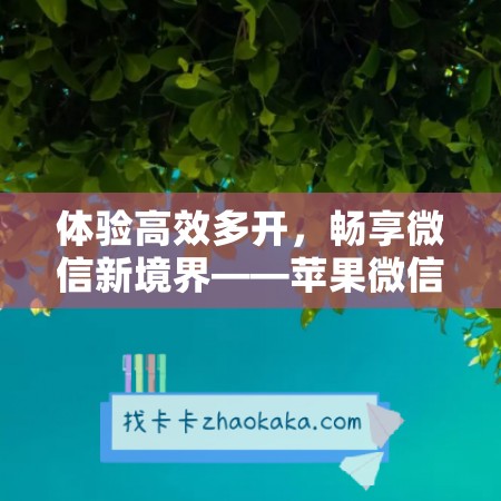 体验高效多开，畅享微信新境界——苹果微信多开二宝微云图激活码