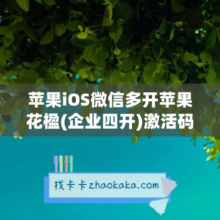 苹果iOS微信多开苹果花楹(企业四开)激活码，让你更便捷管理生活社交