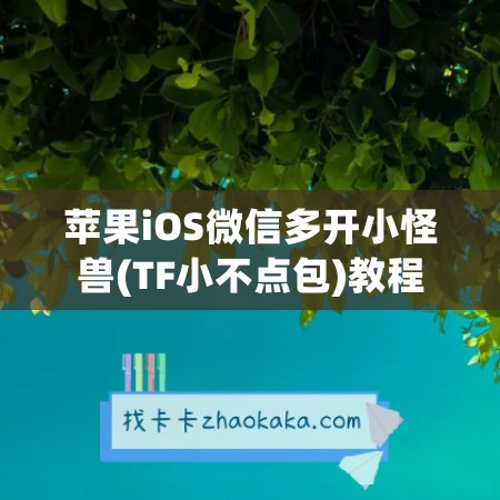 苹果iOS微信多开小怪兽(TF小不点包)教程