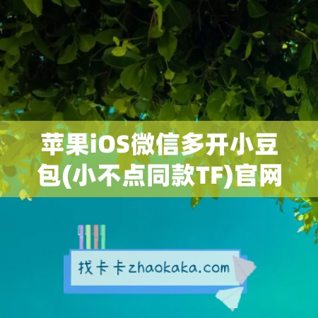 苹果iOS微信多开小豆包(小不点同款TF)官网