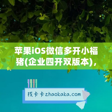 苹果iOS微信多开小福猪(企业四开双版本)，新品测试卡攻略