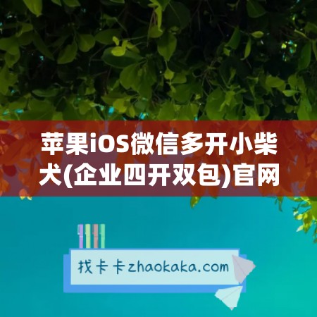 苹果iOS微信多开小柴犬(企业四开双包)官网