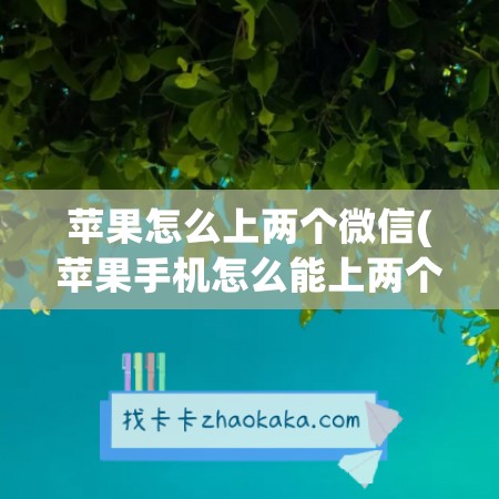 苹果怎么上两个微信(苹果手机怎么能上两个微信)