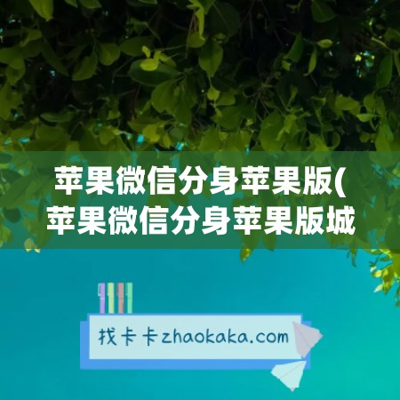 苹果微信分身苹果版(苹果微信分身苹果版城戈网络科技)